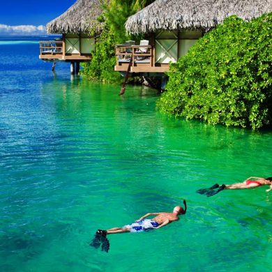 Young couple snorkeling in clean water over reef