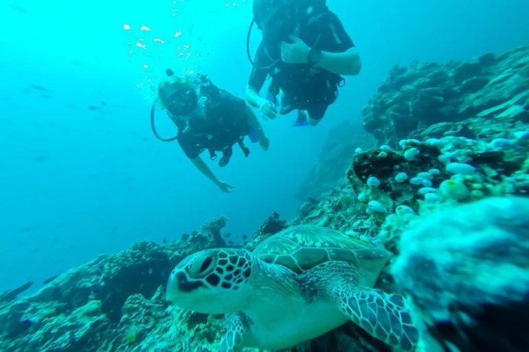 Two scuba divers and a turtle in Lombok, Indonesia