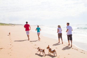 family with dogs on beach