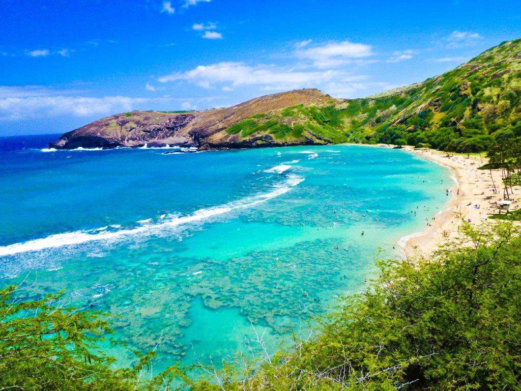 Snorkeling Bay Oahu Hawaii