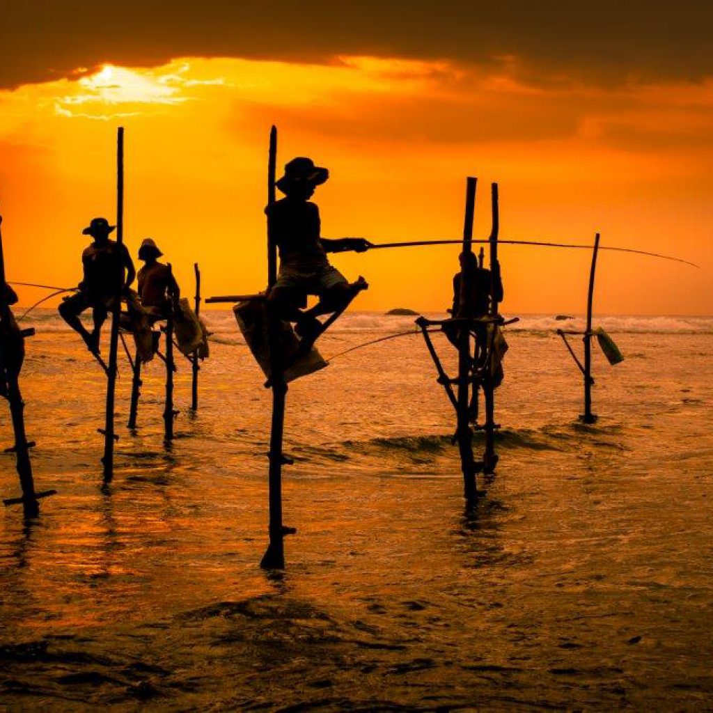 Stilt Fishermen Sri Lanka Traditional Fishing